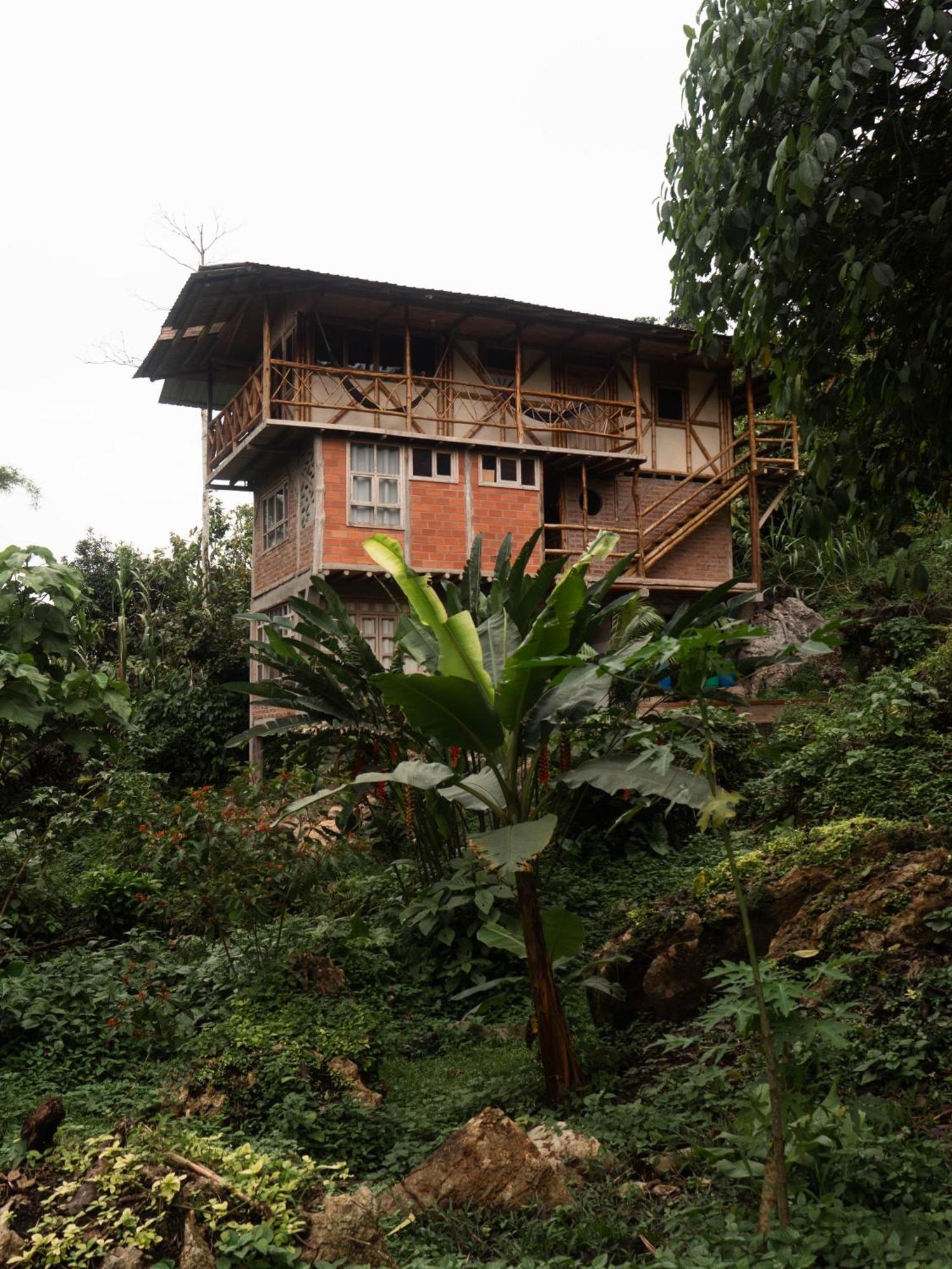 Hostal Pakay Tena Exterior foto