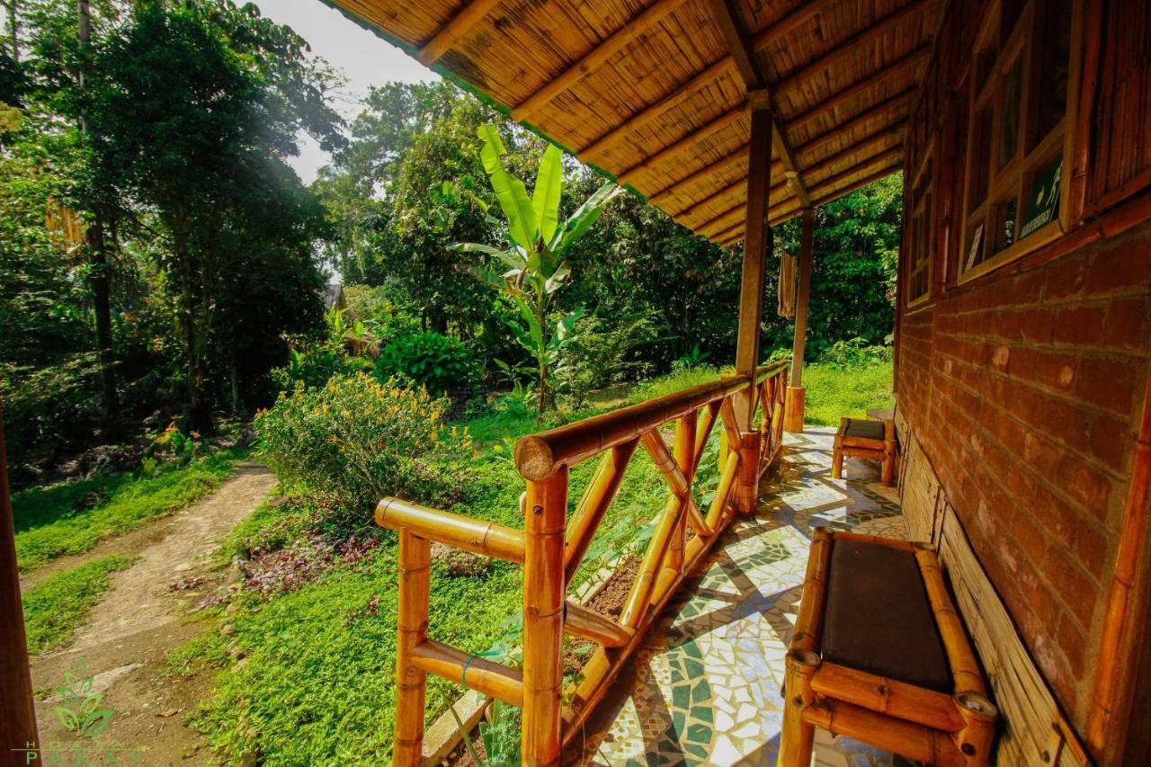 Hostal Pakay Tena Exterior foto