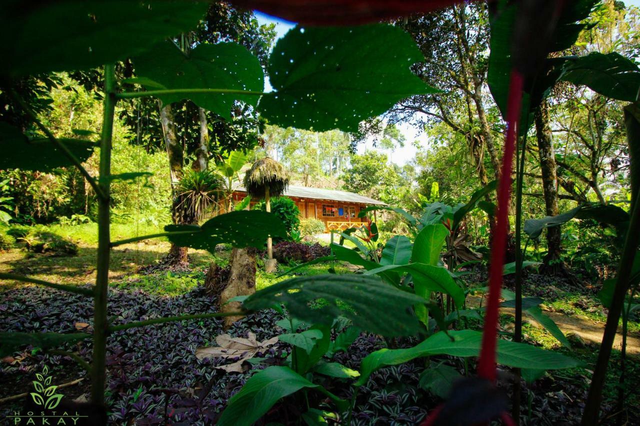 Hostal Pakay Tena Exterior foto