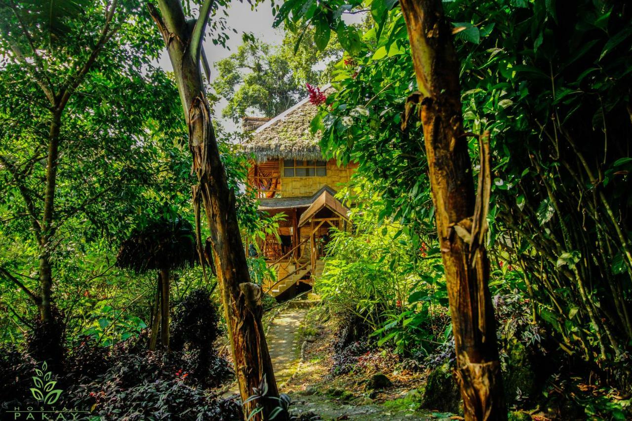 Hostal Pakay Tena Exterior foto
