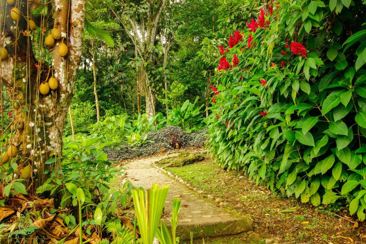 Hostal Pakay Tena Exterior foto